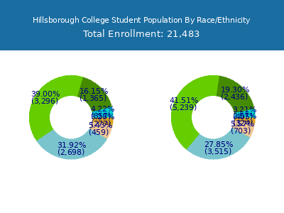 Hillsborough College 2025 Student Population by Gender and Race chart