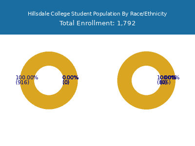 Hillsdale College 2025 Student Population by Gender and Race chart