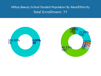 Hilltop Beauty School 2025 Student Population by Gender and Race chart