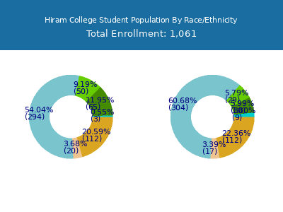 Hiram College 2025 Student Population by Gender and Race chart