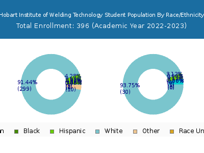 Hobart Institute of Welding Technology 2023 Student Population by Gender and Race chart