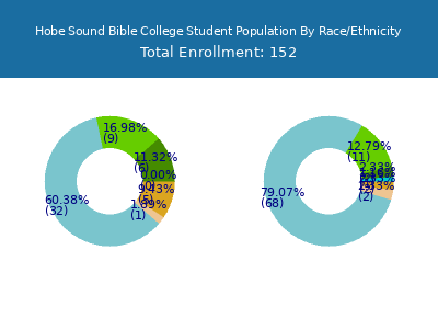 Hobe Sound Bible College 2025 Student Population by Gender and Race chart