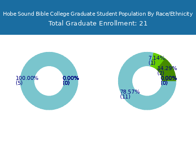 Hobe Sound Bible College 2025 Graduate Enrollment by Gender and Race chart