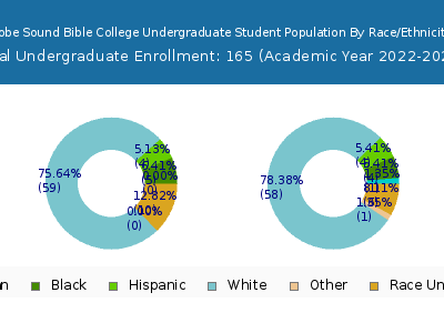 Hobe Sound Bible College 2023 Undergraduate Enrollment by Gender and Race chart