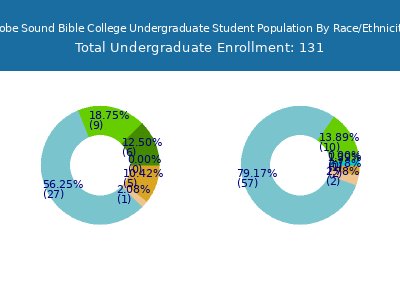 Hobe Sound Bible College 2025 Undergraduate Enrollment by Gender and Race chart