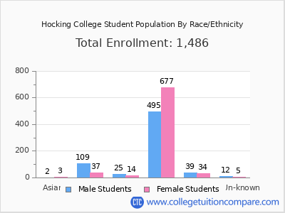 Hocking College 2025 Student Population by Gender and Race chart