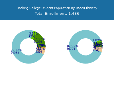 Hocking College 2025 Student Population by Gender and Race chart