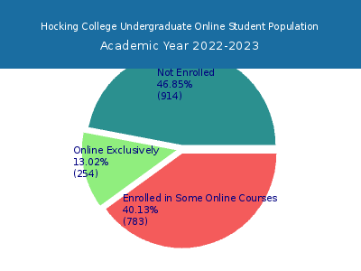 Hocking College 2023 Online Student Population chart