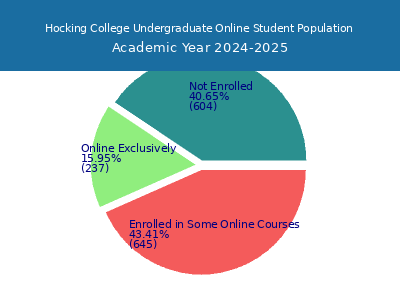 Hocking College 2025 Online Student Population chart