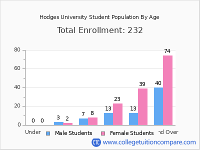 Hodges University 2024 Student Population by Age chart