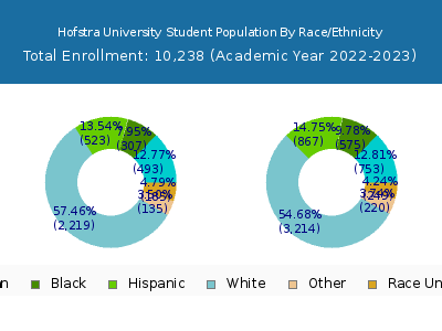 Hofstra University 2023 Student Population by Gender and Race chart
