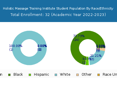 Holistic Massage Training Institute 2023 Student Population by Gender and Race chart