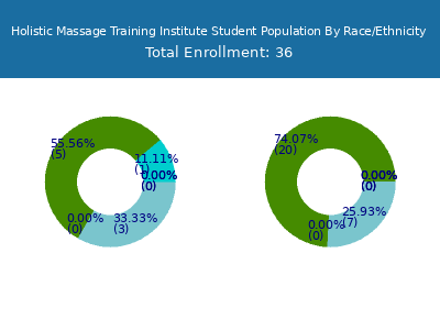 Holistic Massage Training Institute 2025 Student Population by Gender and Race chart