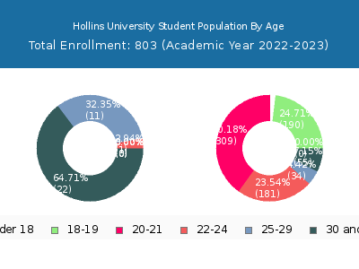 Hollins University 2023 Student Population Age Diversity Pie chart