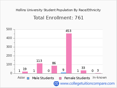 Hollins University 2025 Student Population by Gender and Race chart