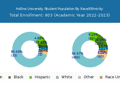 Hollins University 2023 Student Population by Gender and Race chart