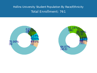 Hollins University 2025 Student Population by Gender and Race chart