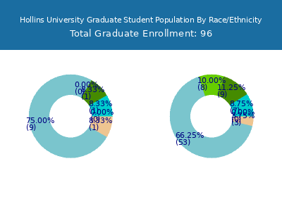 Hollins University 2025 Graduate Enrollment by Gender and Race chart