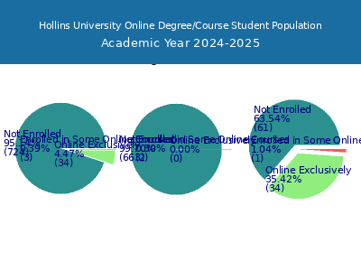 Hollins University 2025 Online Student Population chart