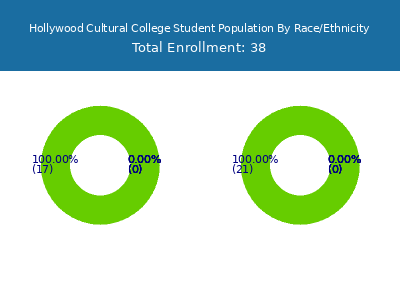 Hollywood Cultural College 2025 Student Population by Gender and Race chart