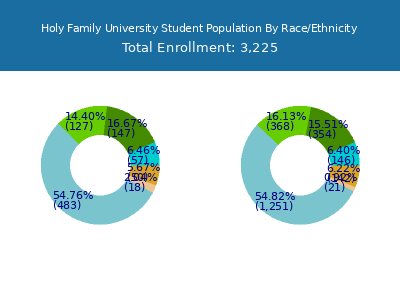 Holy Family University 2025 Student Population by Gender and Race chart