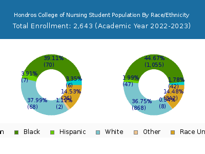 Hondros College of Nursing 2023 Student Population by Gender and Race chart