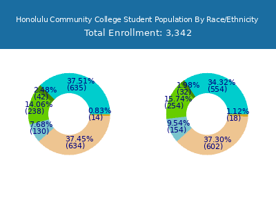 Honolulu Community College 2025 Student Population by Gender and Race chart