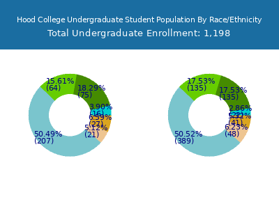 Hood College 2025 Undergraduate Enrollment by Gender and Race chart