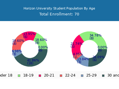Horizon University 2024 Student Population Age Diversity Pie chart