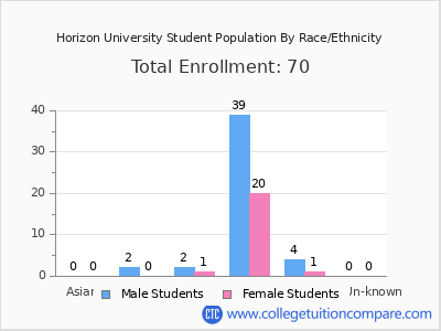 Horizon University 2025 Student Population by Gender and Race chart