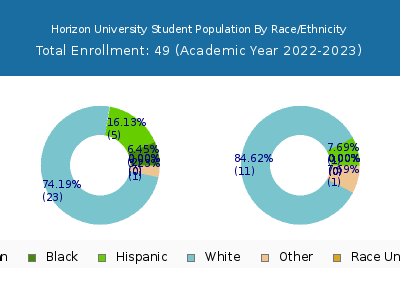 Horizon University 2023 Student Population by Gender and Race chart