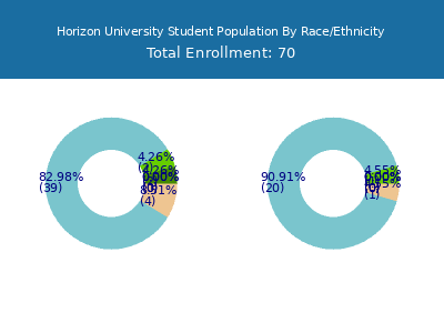 Horizon University 2025 Student Population by Gender and Race chart