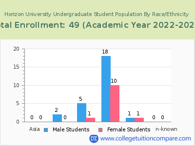 Horizon University 2023 Undergraduate Enrollment by Gender and Race chart