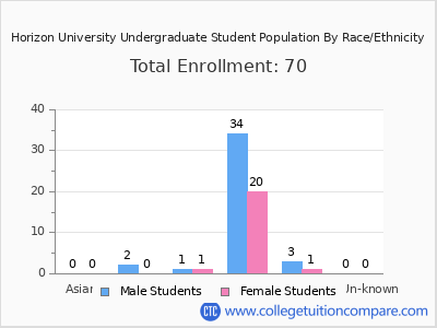 Horizon University 2025 Undergraduate Enrollment by Gender and Race chart