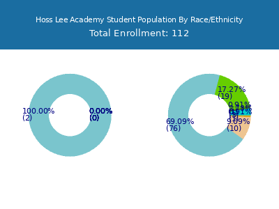 Hoss Lee Academy 2025 Student Population by Gender and Race chart