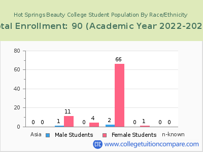 Hot Springs Beauty College 2023 Student Population by Gender and Race chart
