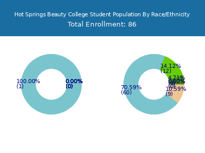 Hot Springs Beauty College 2025 Student Population by Gender and Race chart