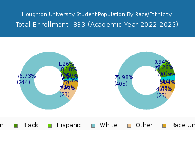 Houghton University 2023 Student Population by Gender and Race chart