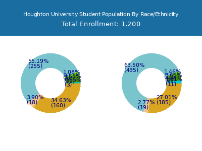 Houghton University 2025 Student Population by Gender and Race chart