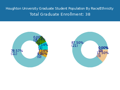 Houghton University 2025 Graduate Enrollment by Gender and Race chart