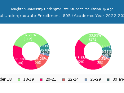 Houghton University 2023 Undergraduate Enrollment Age Diversity Pie chart