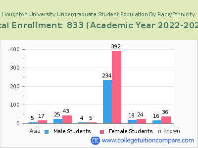 Houghton University 2023 Undergraduate Enrollment by Gender and Race chart