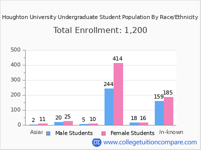 Houghton University 2025 Undergraduate Enrollment by Gender and Race chart