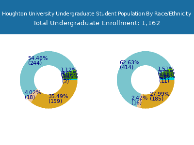 Houghton University 2025 Undergraduate Enrollment by Gender and Race chart