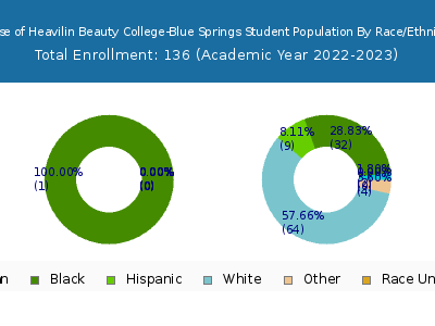 House of Heavilin Beauty College-Blue Springs 2023 Student Population by Gender and Race chart
