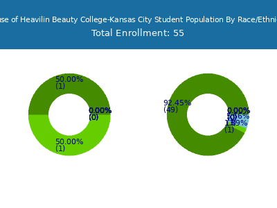 House of Heavilin Beauty College-Kansas City 2025 Student Population by Gender and Race chart