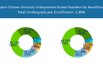 Houston Christian University 2025 Undergraduate Enrollment by Gender and Race chart