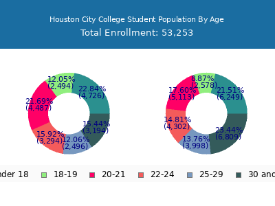 Houston City College 2024 Student Population Age Diversity Pie chart