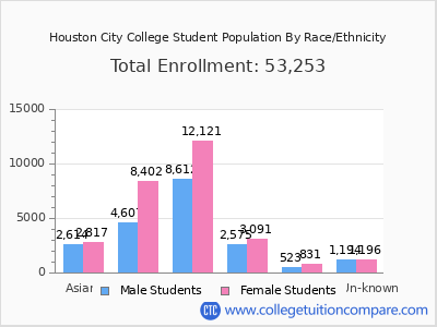 Houston City College 2025 Student Population by Gender and Race chart