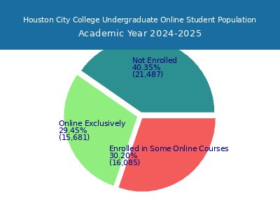 Houston City College 2025 Online Student Population chart